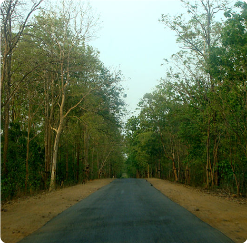 routes